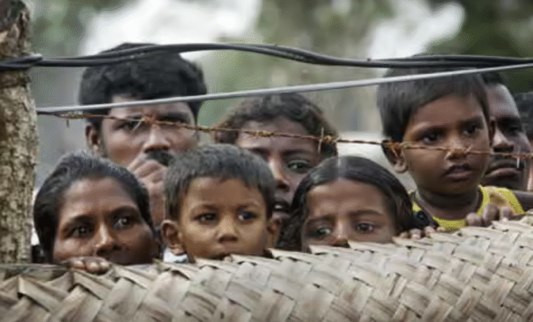 guerre, civile, libération, tué, vie,